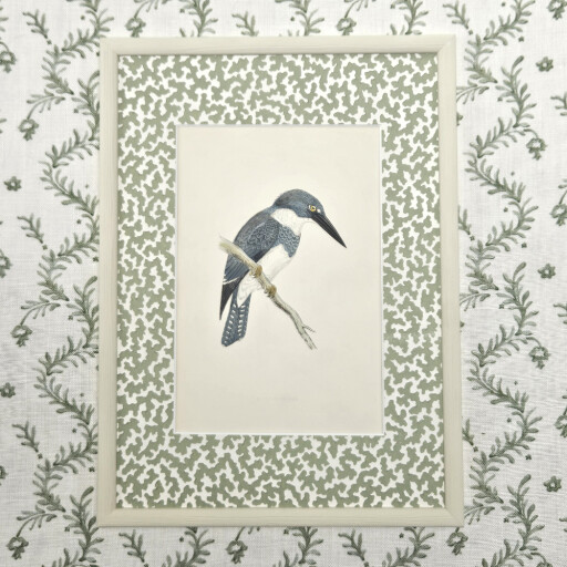 Kingfisher squiggle 1.jpg
