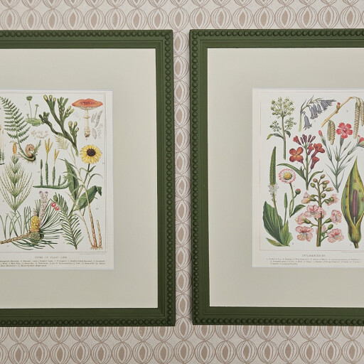 Botanicals in Bancha Beaded Frame 1.jpg