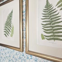 Set of Ferns Gold Reclaimed 2.jpg