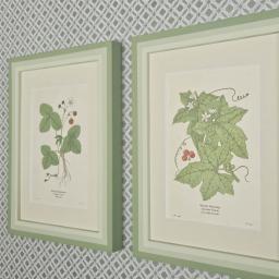 Pair of Strawberry etc 2.jpg