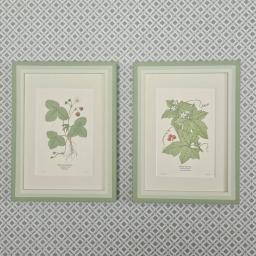 Pair of Strawberry etc 1.jpg
