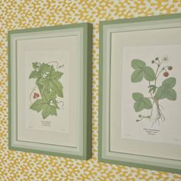 Pair of Strawberry etc 3.jpg