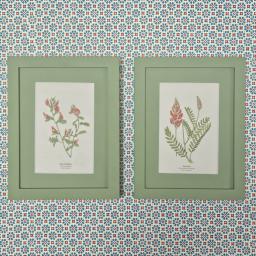 Pair of Sainfoin etc 1.jpg