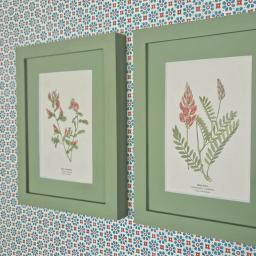 Pair of Sainfoin etc 2.jpg