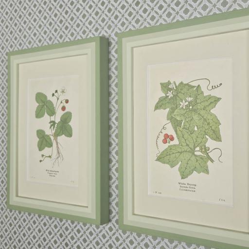 Pair of Strawberry & Bryony Prints in Green Striped Frames