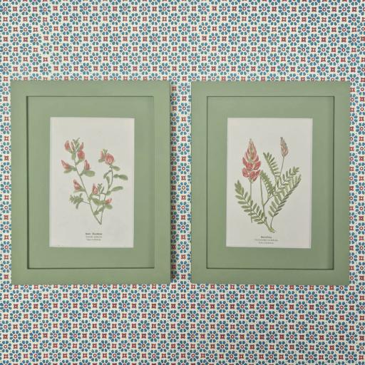 Pair of Botanical Prints in Green Frames