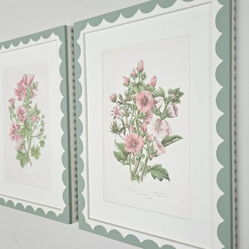 Pair of Mallow Prints in Handpainted Scallop Frames