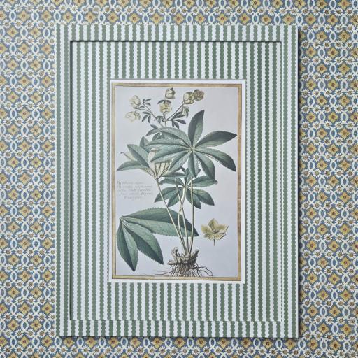 Hellebore Print in Wrapped Frame and Mount in Green Bobbin Stripe