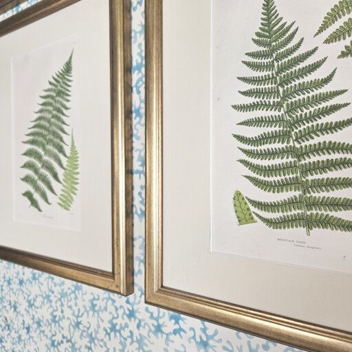 Set of Ferns Gold Reclaimed 2.jpg