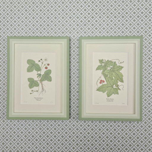 Pair of Strawberry etc 1.jpg