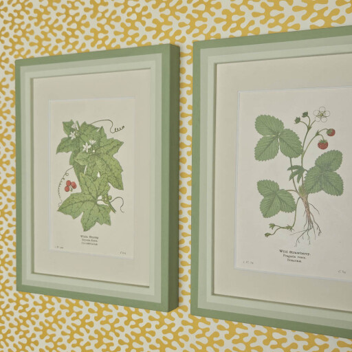 Pair of Strawberry etc 3.jpg