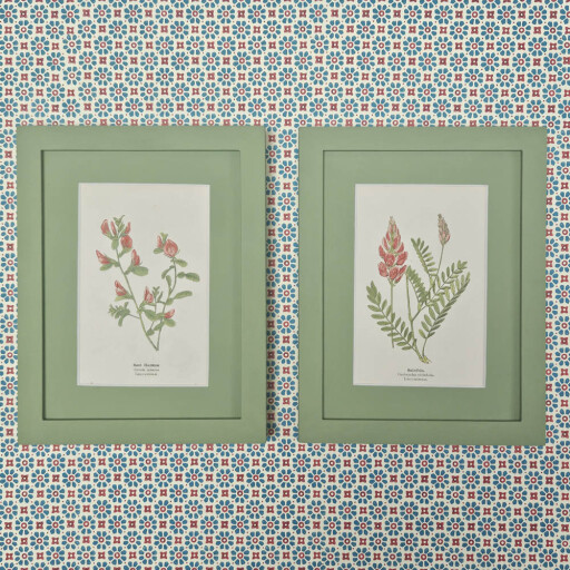 Pair of Sainfoin etc 1.jpg
