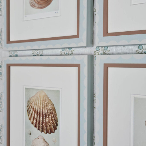 6 shells in scallop 2.jpg