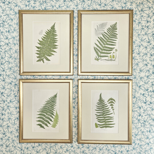 Set of Ferns Gold Reclaimed 1.jpg