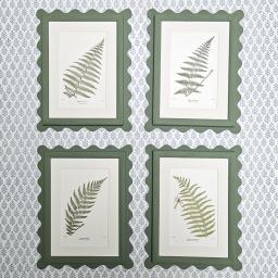 Wavy ferns 4 2.jpg
