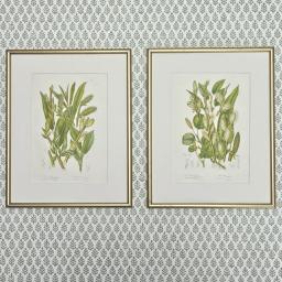 Grasses gold Anne Pratt 3.jpg