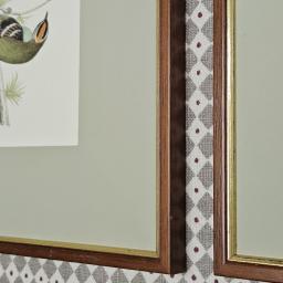 Little birds 4 3.jpg