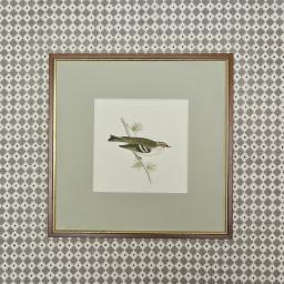 Little birds 4 4.jpg