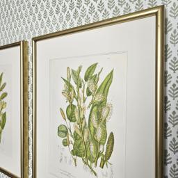 Grasses gold Anne Pratt 2.jpg