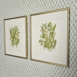 Grasses gold Anne Pratt 1.jpg