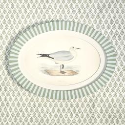 Oval Stripe Gull 1.jpg