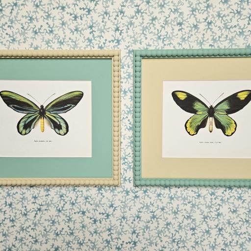 Pair of Butterfly Prints in Bobbin Frames