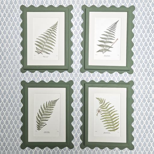 Set of 4 Antique Fern Prints in Wavy Frames