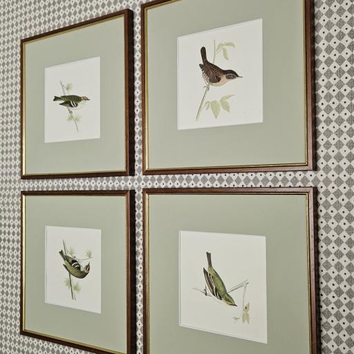 Set of Four Antique Morris Bird Prints in Reclaimed Frames