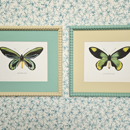 Arsenic butterflies.jpg