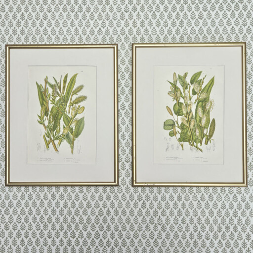 Grasses gold Anne Pratt 3.jpg