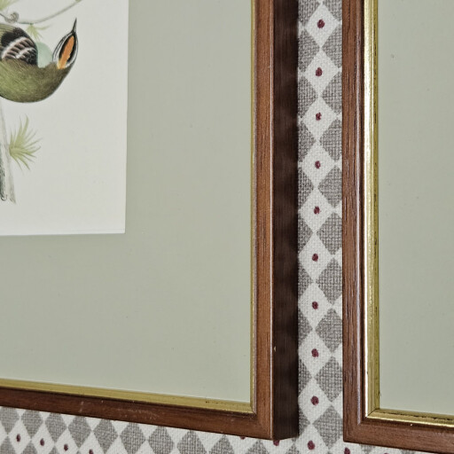 Little birds 4 3.jpg