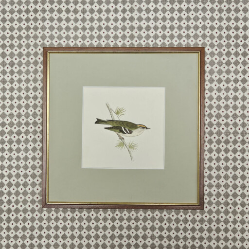 Little birds 4 4.jpg