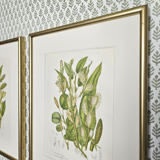 Grasses gold Anne Pratt 2.jpg