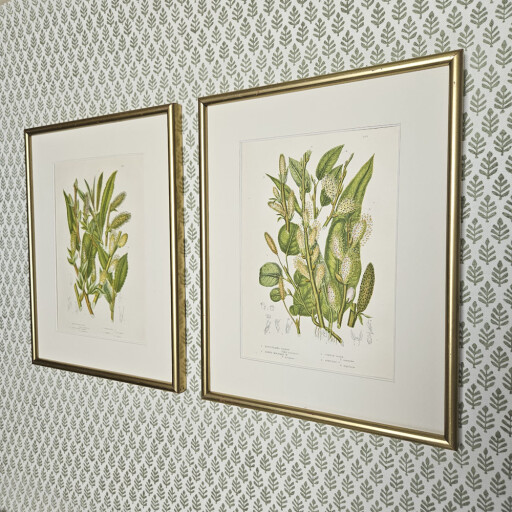 Grasses gold Anne Pratt 1.jpg