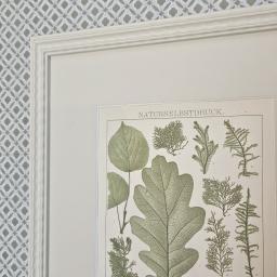 Ribbon Botanical 2.jpg