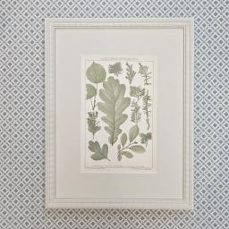 Ribbon Botanical 1.jpg