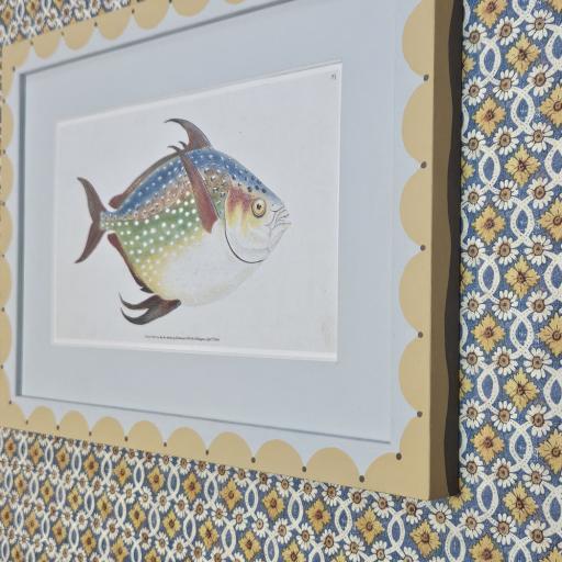 Fish Print in Handpainted Scallop Frame