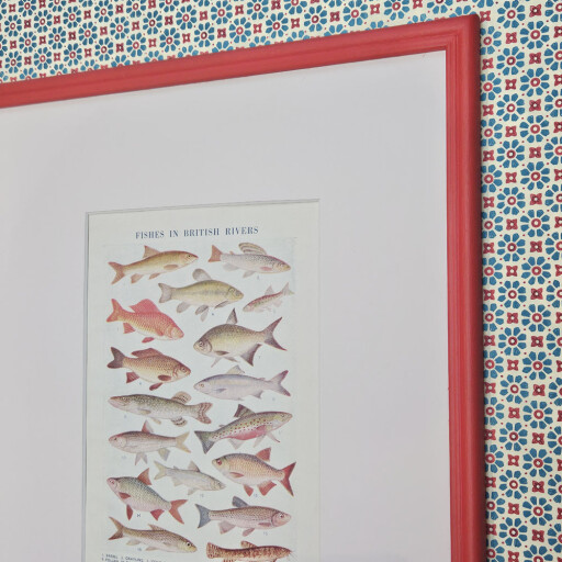 Fishes British Isles 2.jpg