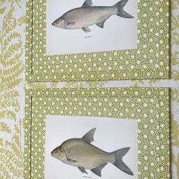 Fish pair in Starburst Citrus 1.jpg