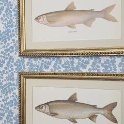 Fish in Beaded Gold 2.jpg