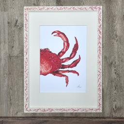 Harriett Crab 2.jpg
