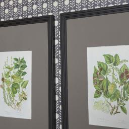 HC Botanicals in Brown Reeded frame.jpg