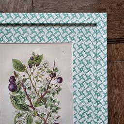 Plums in wrapped frame 1.jpg