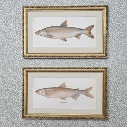 Fish in Beaded Gold 1.jpg