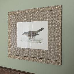 Thrush 1.jpg