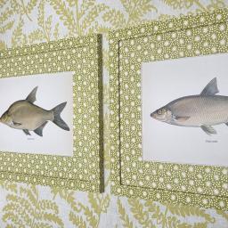 Fish pair in Starburst Citrus 2.jpg