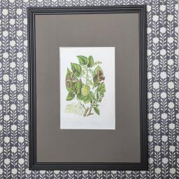 HC Botanicals in Brown Reeded frame 2.jpg