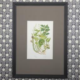 HC Botanicals in Brown Reeded frame 3.jpg