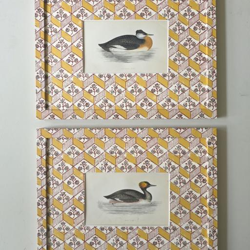 Pair of Grebes in Wrapped Frames