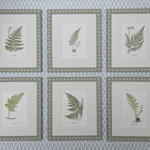 Set of 6 Antique Fern Plates in Handpainted Spot Frames